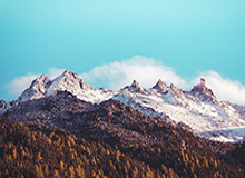 乐鱼体育app-维特尔献歌告别法拉利 获赠巨型分站冠军纪念奖杯